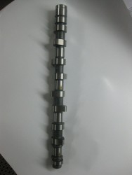 YERLİ - CITROEN BX BENZİNLİ EKSANTRİK MİLİ YERLİ