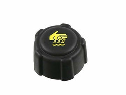 YERLİ - MEGANE 2 3 FLUENCE LAGUNA KANGOO YEDEK SU DEPO KAPAĞI 8200048024